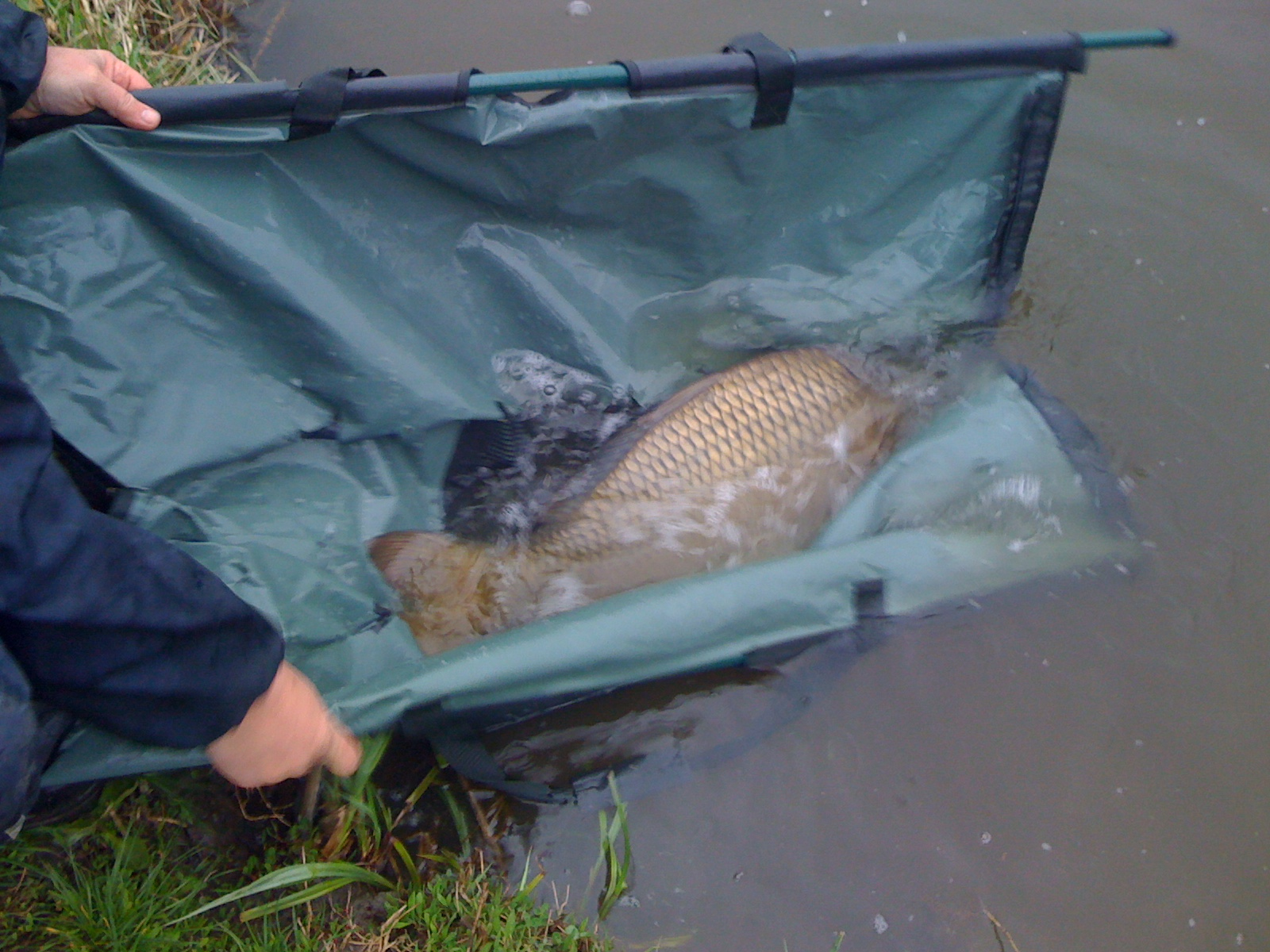 Senior Cup MV2 11.04-14.04.2011 - img004d.png